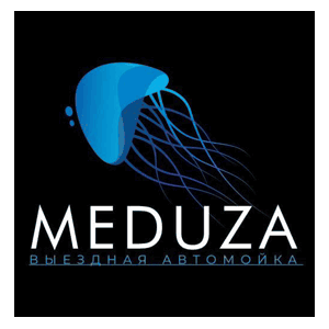 Логотип Meduza Car Wash 17