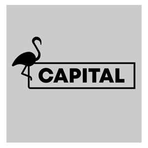 Logotype Fl Capital